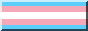 Trans Flag
